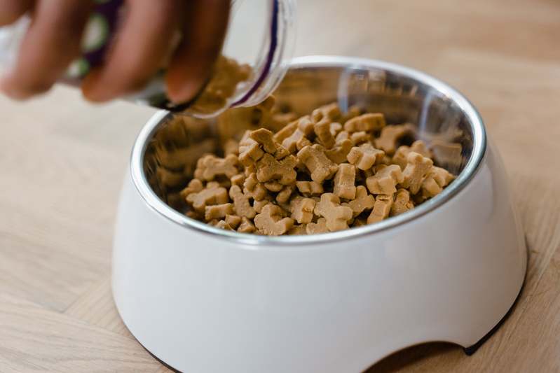 Homepage for Pet Care Specialized Pet Food Frozen food